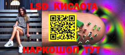 ешки Сланцы