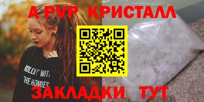 дмт Славгород