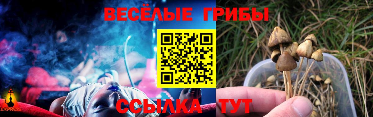 Галлюциногенные грибы ЛСД  Псилоцибиновые грибы мухоморы  Вход с VPN  что такое наркотик  Нурлат 